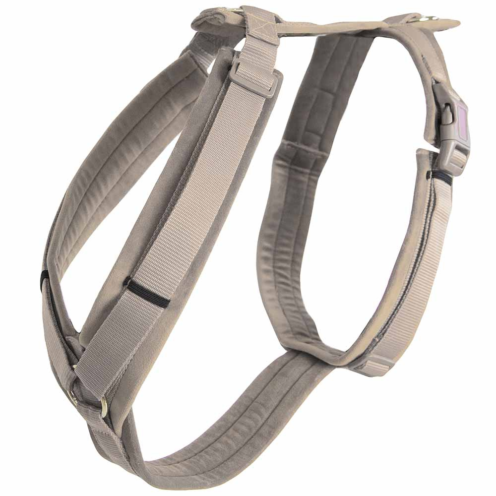 Harnais pour chien Active Velvet beige 