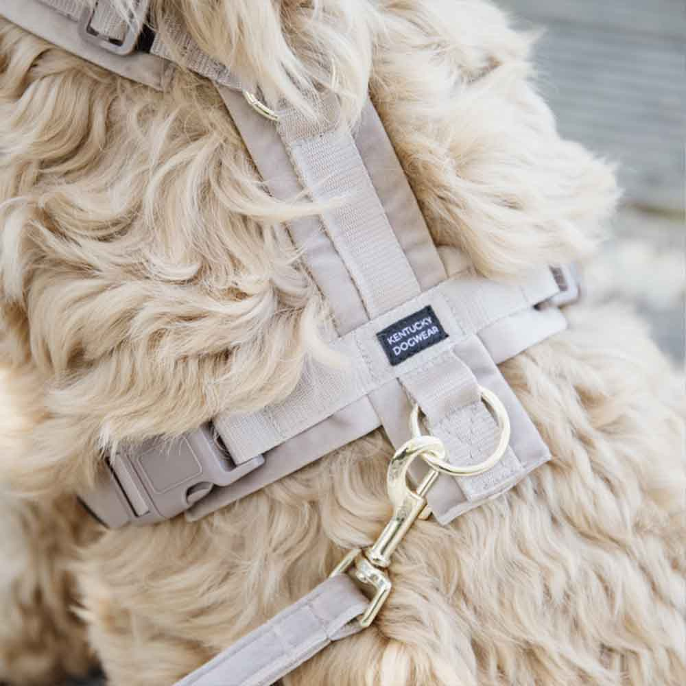 Harnais pour chien Active Velvet beige 