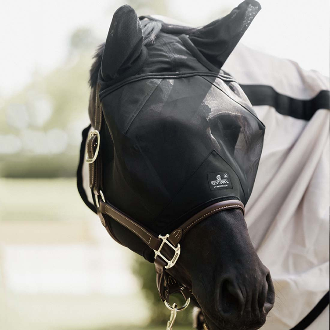 Masque Anti-Mouches Classic avec Oreilles Noir