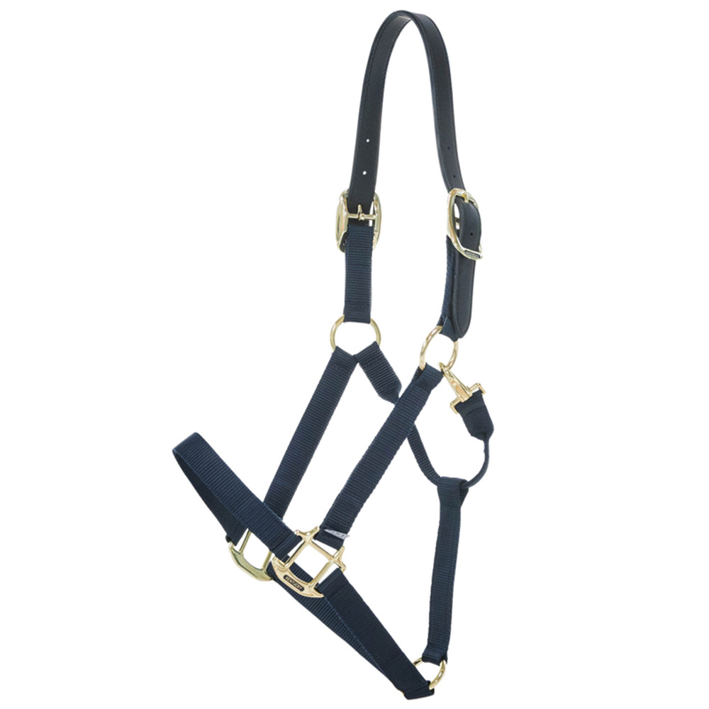 Licol Breakaway Bleu Marine
