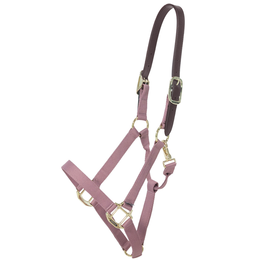 Licol Breakaway Vieux Rose
