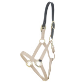 Licol Breakaway Beige Licol Breakaway Beige