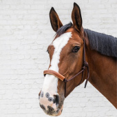 Licols en corde Grooming Deluxe Marron Licols en corde Grooming Deluxe Marron