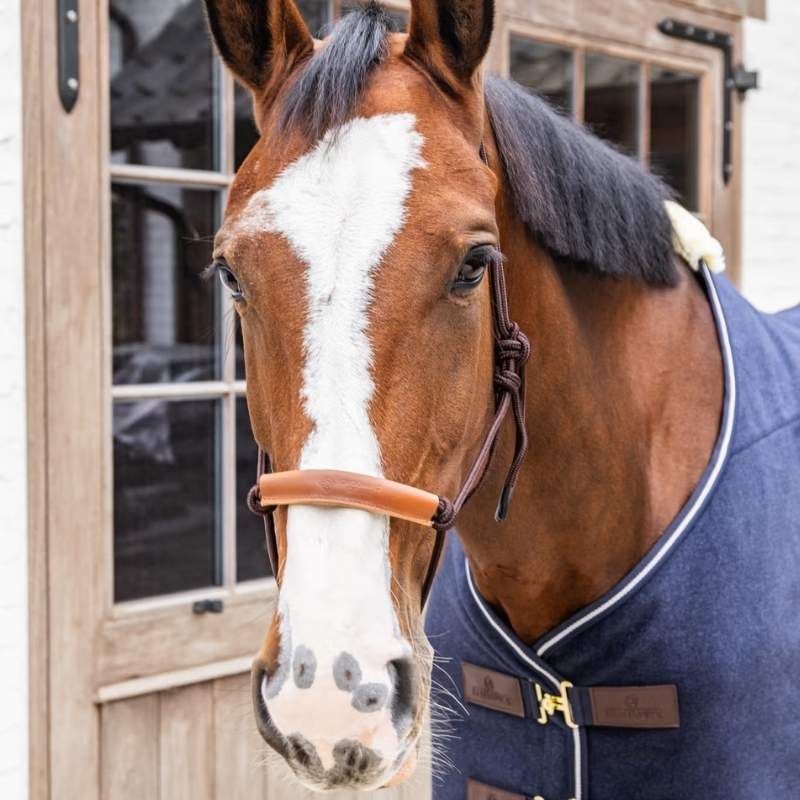 Licols en corde Grooming Deluxe Marron