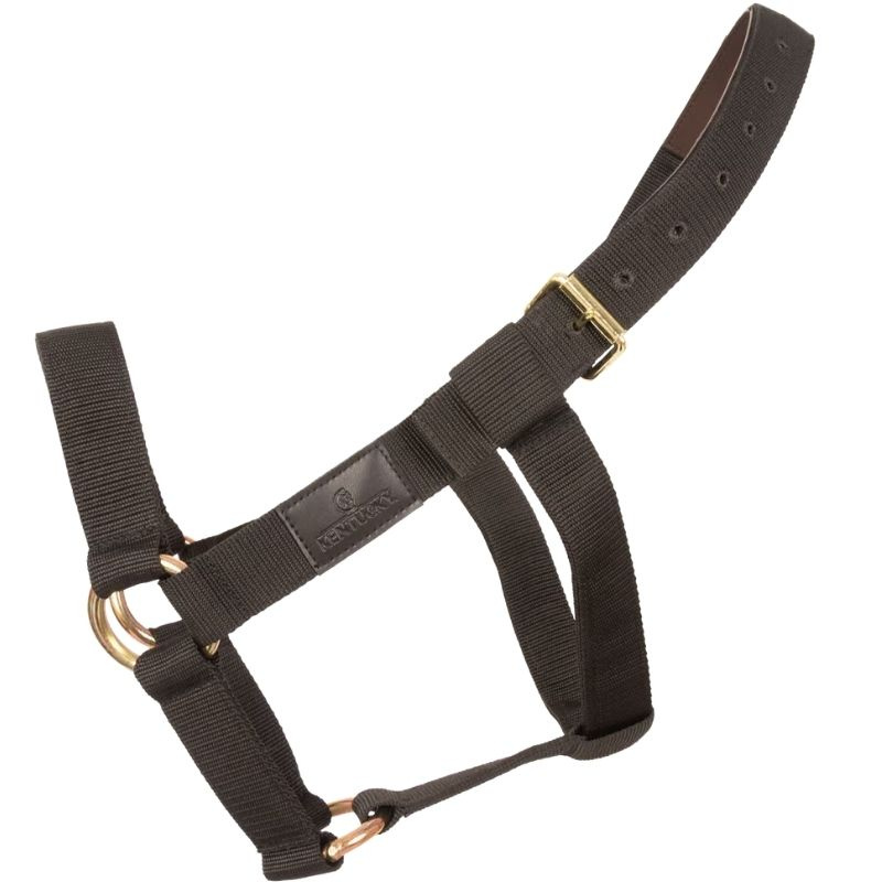 Licol Heavy Duty Noir