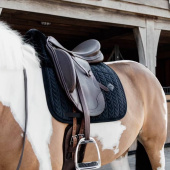 Tapis de selle dressage Skin Friendly Velvet Noir Tapis de selle dressage Skin Friendly Velvet Noir