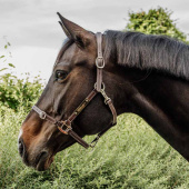 Halter en cuir Artificial Anatomic Flexible Marron Halter en cuir Artificial Anatomic Flexible Marron