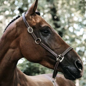 Halter en cuir Artificial Anatomic Flexible Marron Halter en cuir Artificial Anatomic Flexible Marron