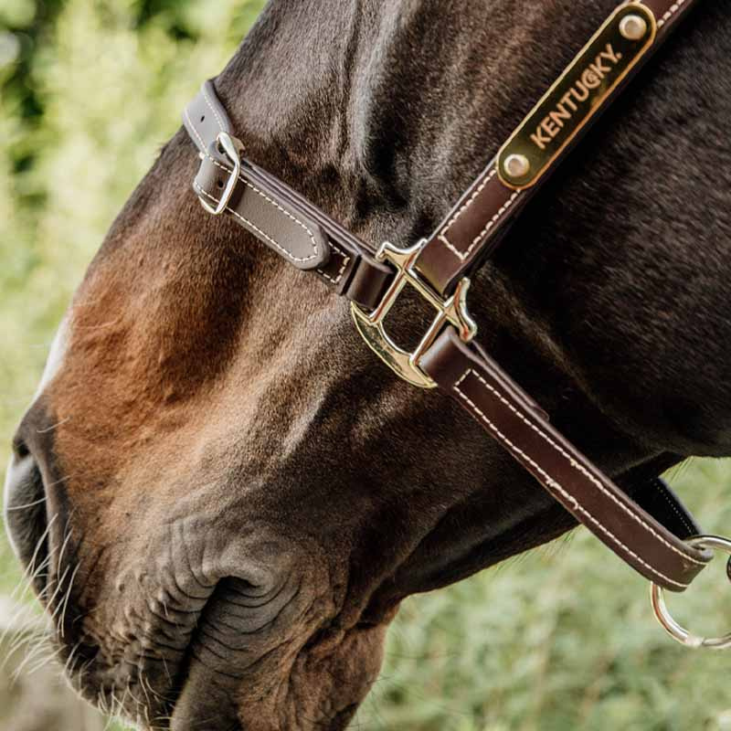 Halter en cuir Artificial Anatomic Flexible Marron