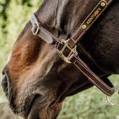 Halter en cuir Artificial Anatomic Flexible Marron Halter en cuir Artificial Anatomic Flexible Marron