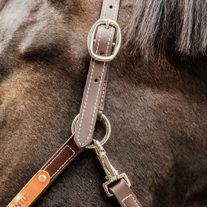 Halter en cuir Artificial Anatomic Flexible Marron