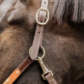 Halter en cuir Artificial Anatomic Flexible Marron Halter en cuir Artificial Anatomic Flexible Marron