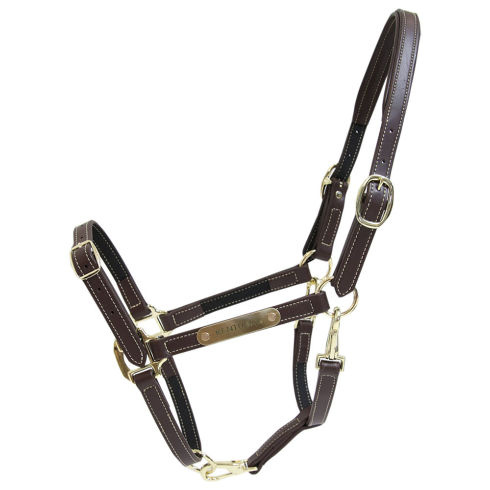 Halter en cuir Artificial Anatomic Flexible Marron
