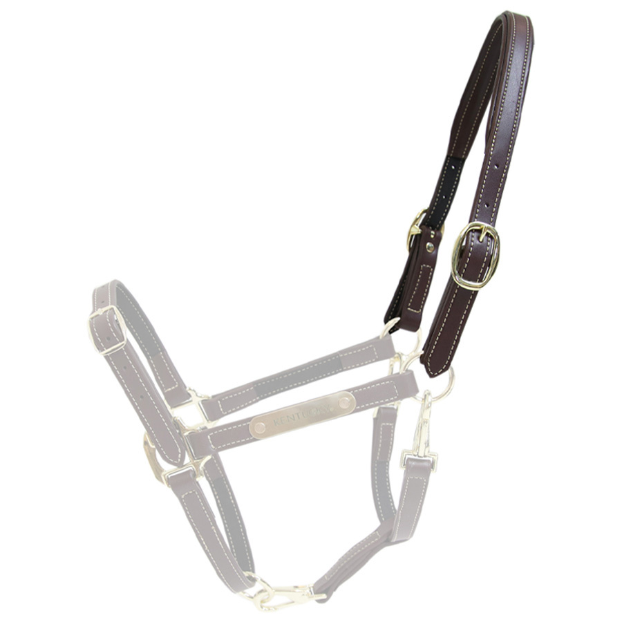 Pièce de cou Artificial Anatomic Flexible Marron