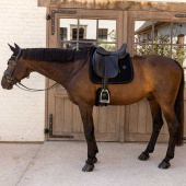 Tapis de selle dressage Velvet Mini Pearls Noir Tapis de selle dressage Velvet Mini Pearls Noir