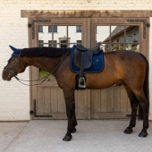 Tapis de selle dressage Velvet Mini Pearls Bleu Marine Tapis de selle dressage Velvet Mini Pearls Bleu Marine