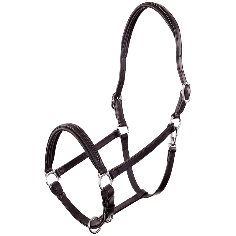 Licol en cuir Florennes Noir