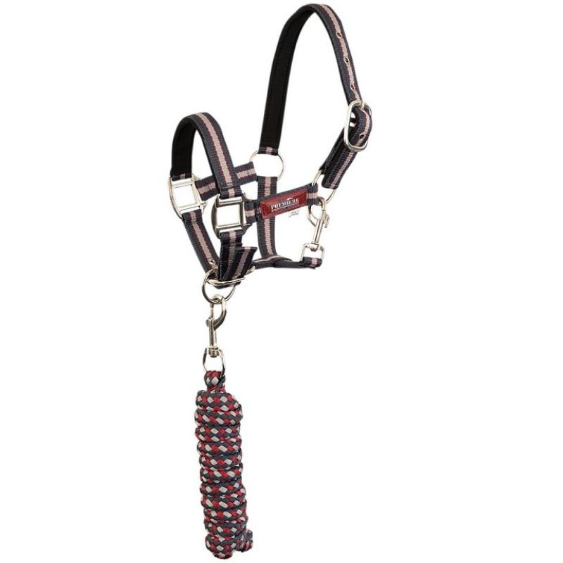 Licol avec longe d'attache XS-Series Marron