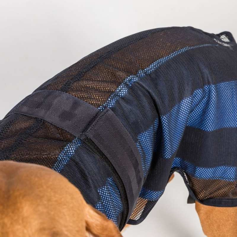 Manteau rafraîchissant pour chien Cool on Track 2.0 Bleu
