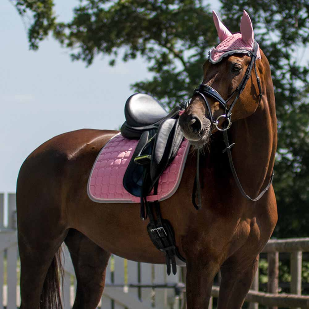 Bonnet Couleur Rose/Grise