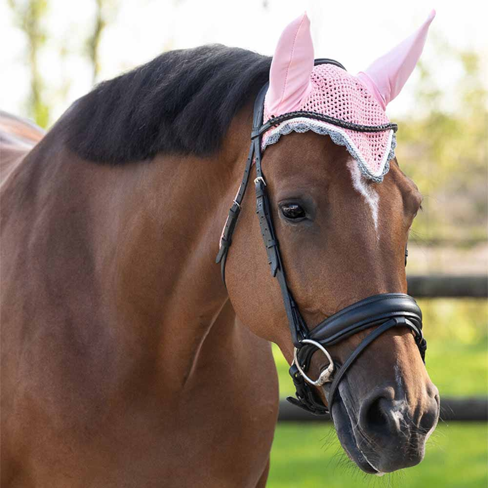 Bonnet Couleur Rose/Grise