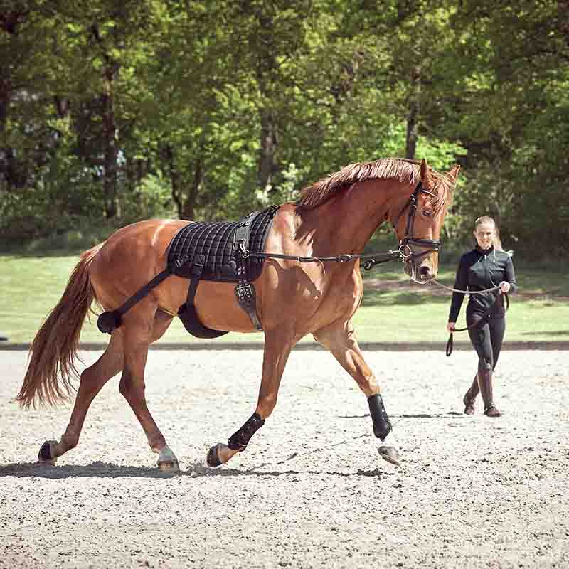 Tapis de selle de dressage Fir-Tech avec Bandes Élastiques Noir