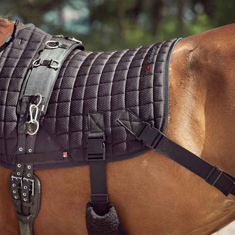 Tapis de selle Fir-Tech avec Bandes Élastiques Noir