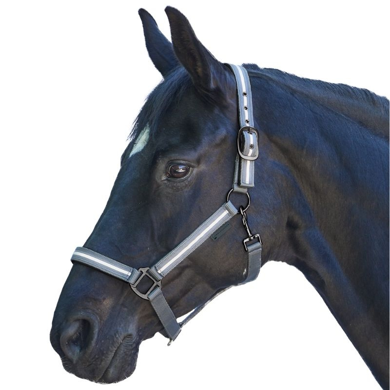 Licol Reflex Stripe Gris