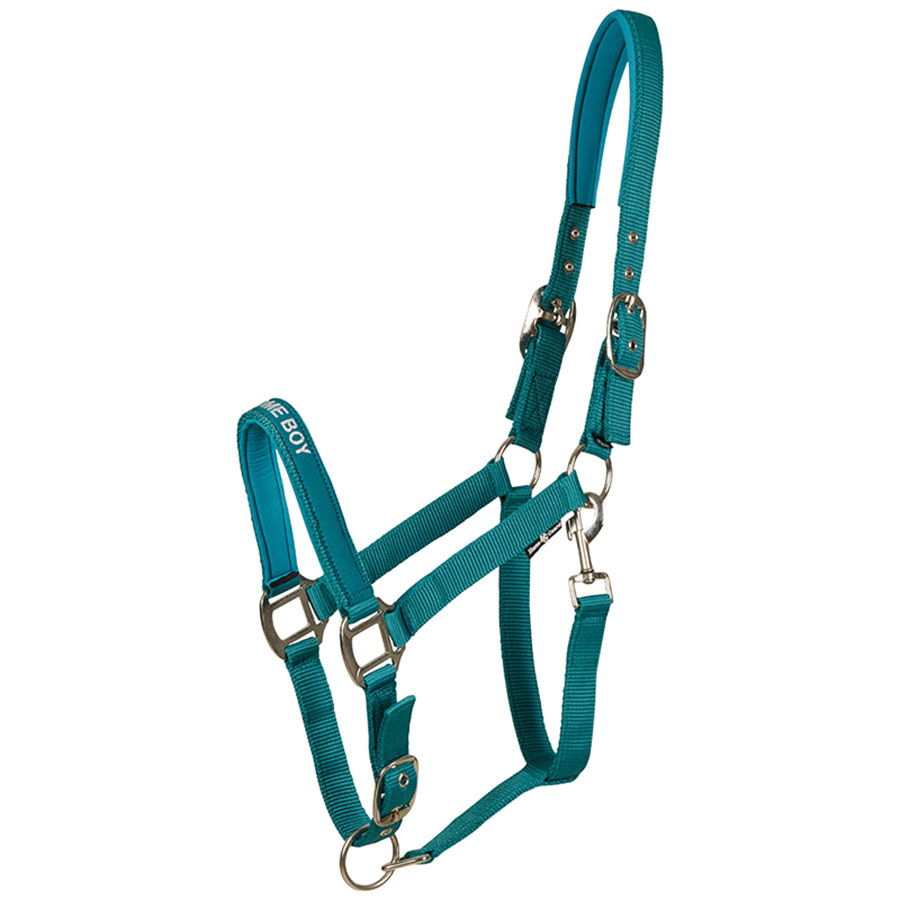 Licol Malva HG Turquoise