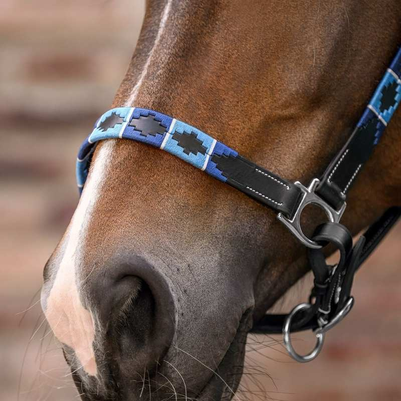 Licol en cuir Polo X-Line Noir/Bleu