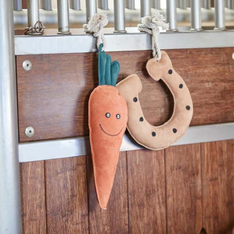 Jouet pour Cheval Carotte HG Orange