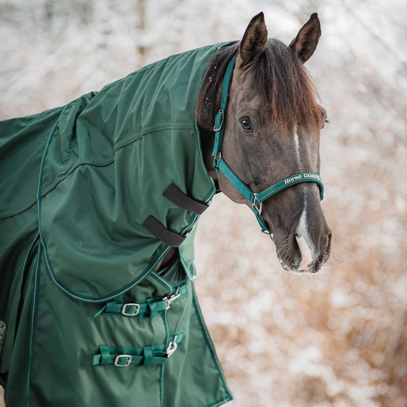 Couverture de Pluie Adapting 1200D 0g HG Vert