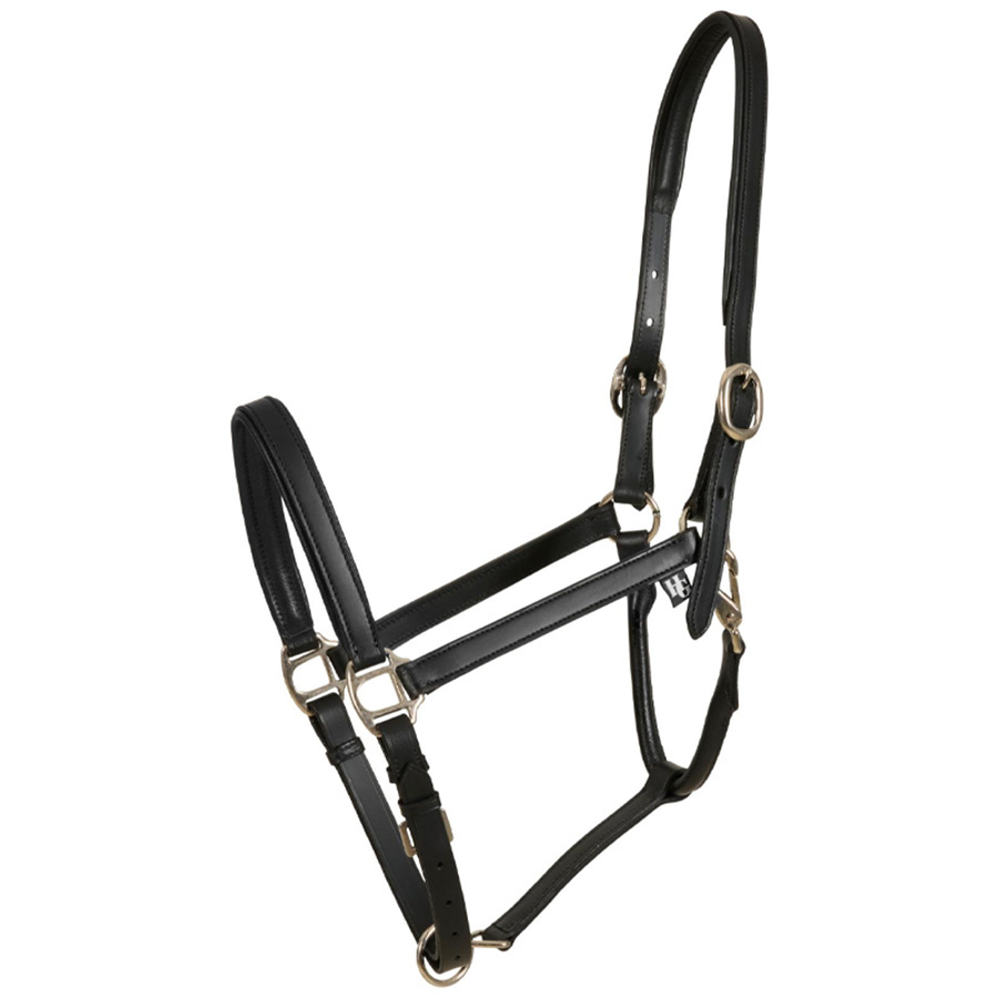 Licou en Cuir Sabine HG Noir