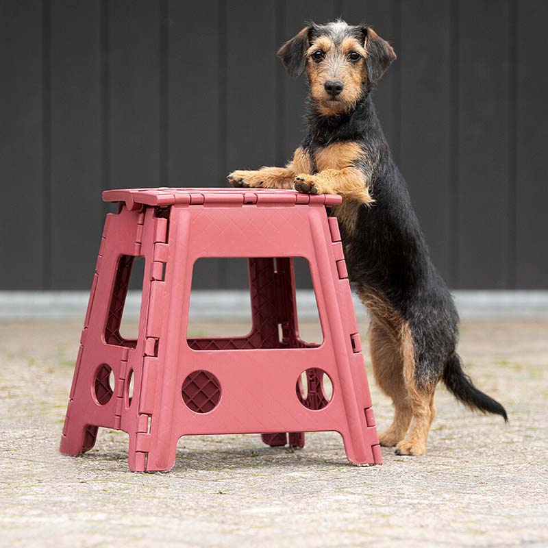 Tabouret pliant Step-Up Bordeaux