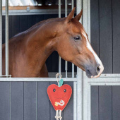 Jouet pour chevaux Pomme en Daim ECO Rouge