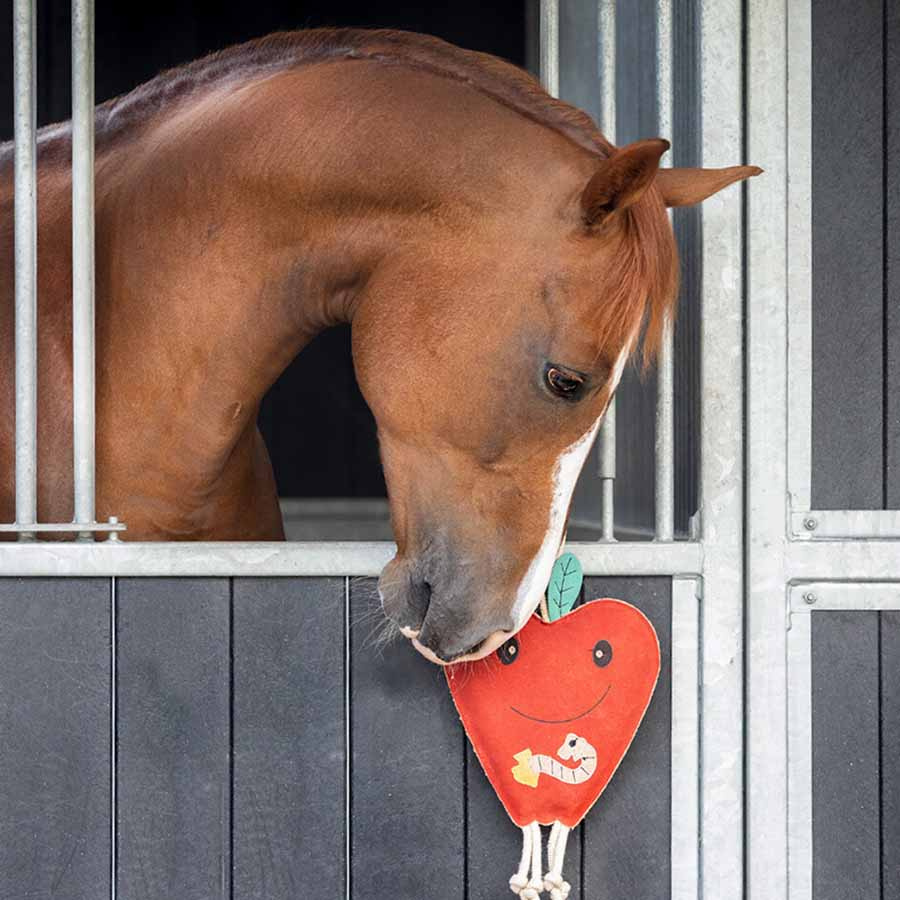 Jouet pour chevaux Pomme en Daim ECO Rouge