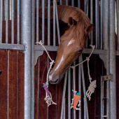 Jouet pour chevaux Crochet de box en Daim Jouet pour chevaux Crochet de box en Daim