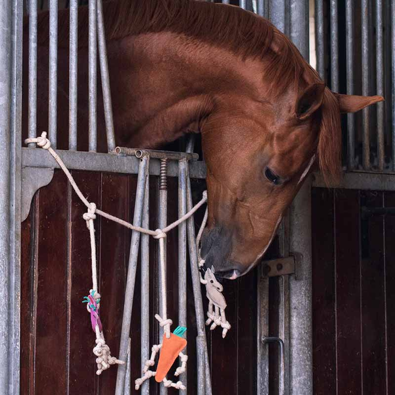 Jouet pour chevaux Crochet de box en Daim