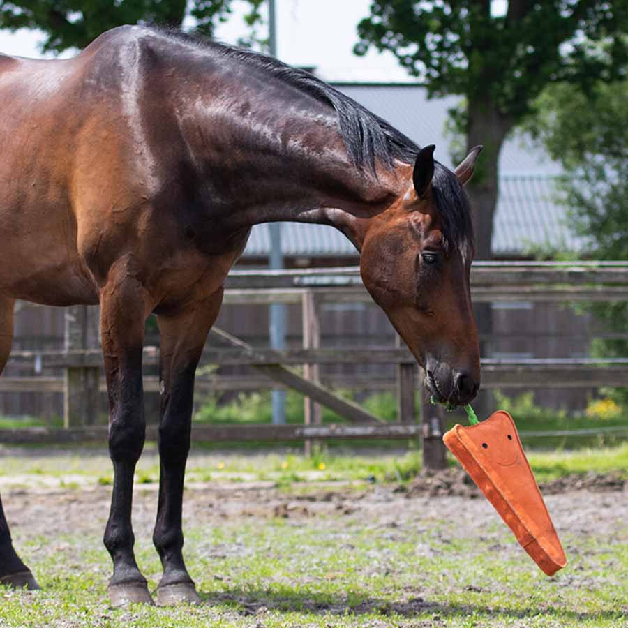 Jouet pour chevaux Carotte XL en Daim ECO Orange