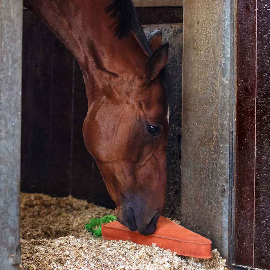 Jouet pour chevaux Carotte XL en Daim ECO Orange