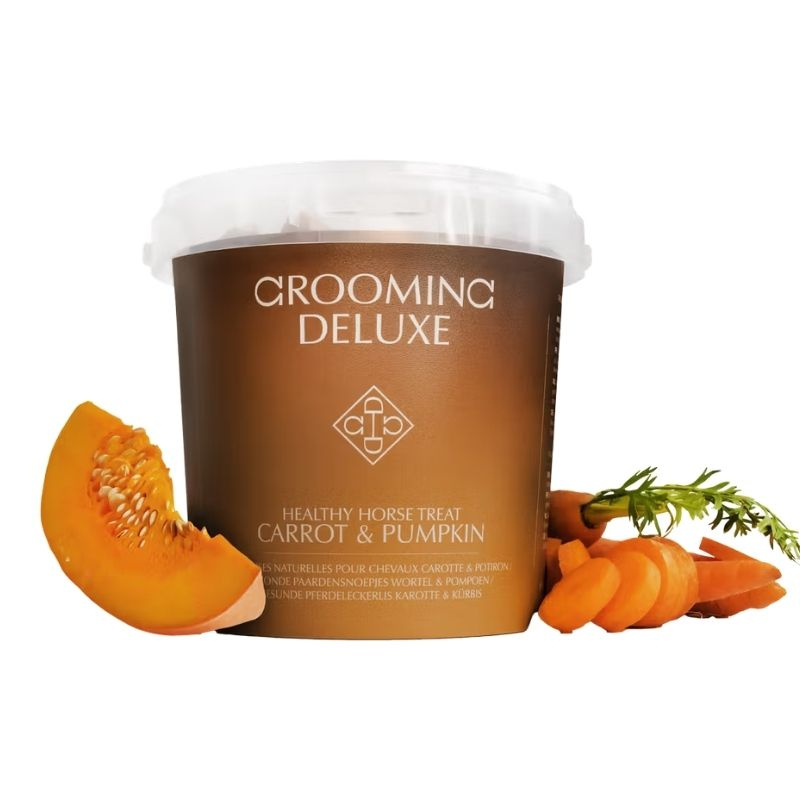 Friandises pour chevaux Healthy Horse Treats Carrot & Pumpkin 500g