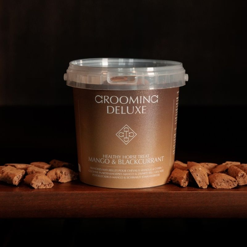 Friandises pour chevaux Healthy Horse Treats Mango & Blackcurrant 500g