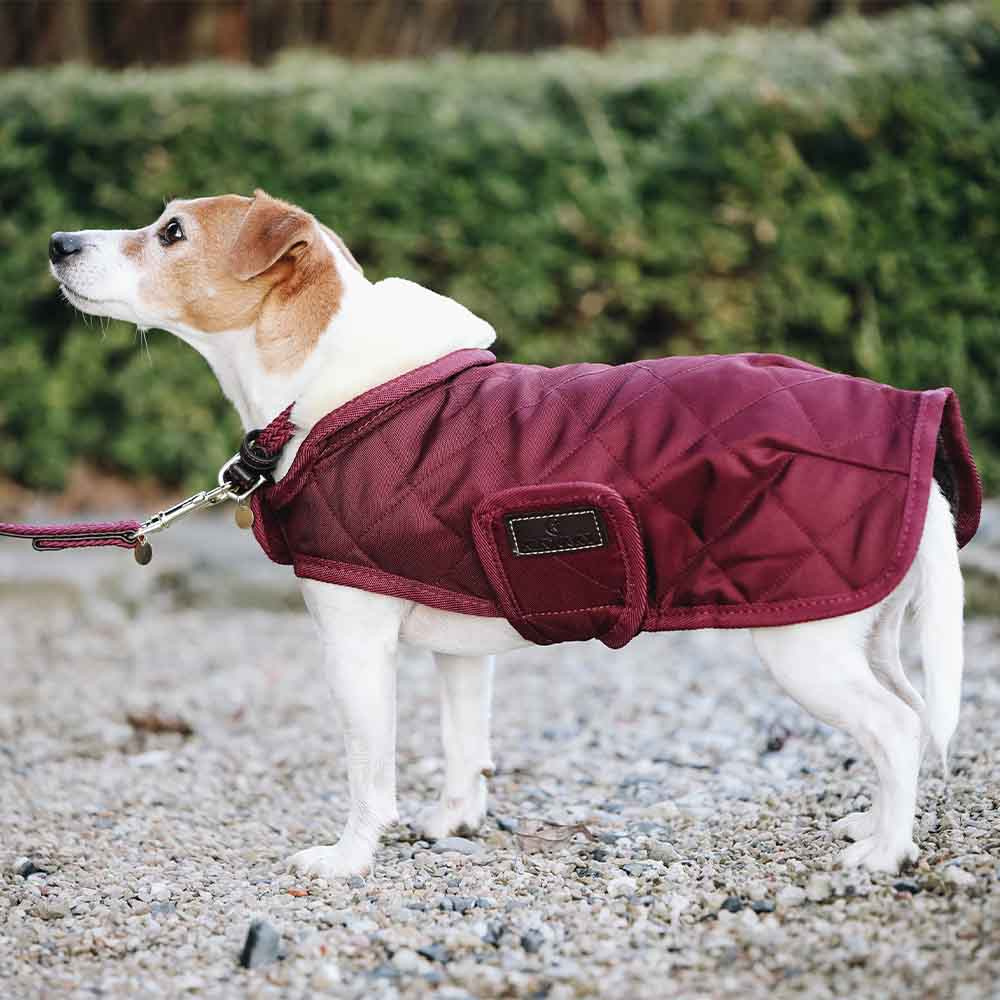 Couverture pour chien Original Bordeaux