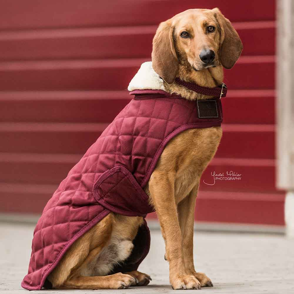 Couverture pour chien Original Bordeaux