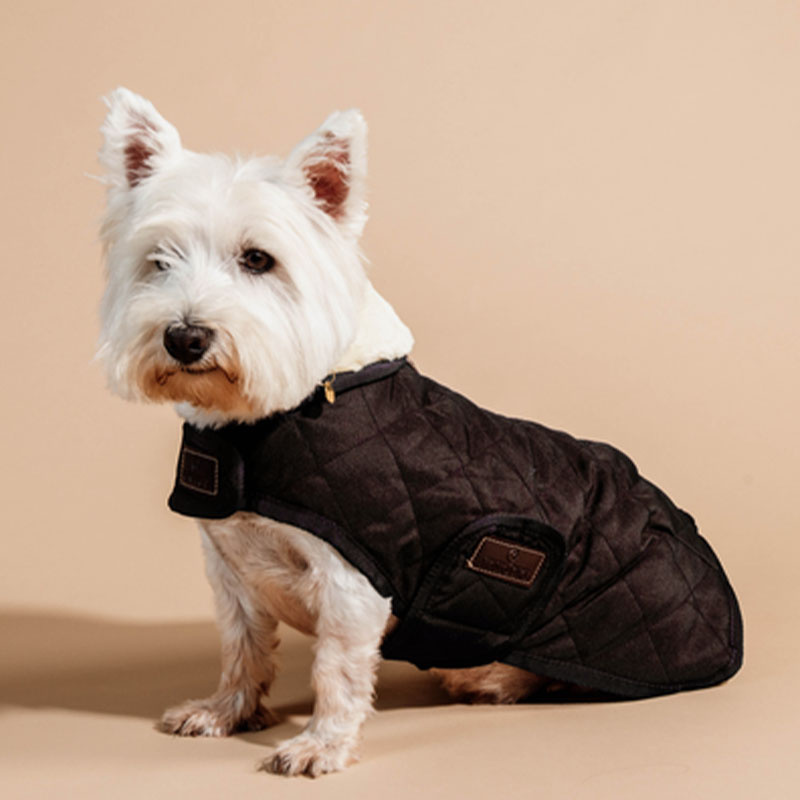 Couverture pour chien Original Marron 