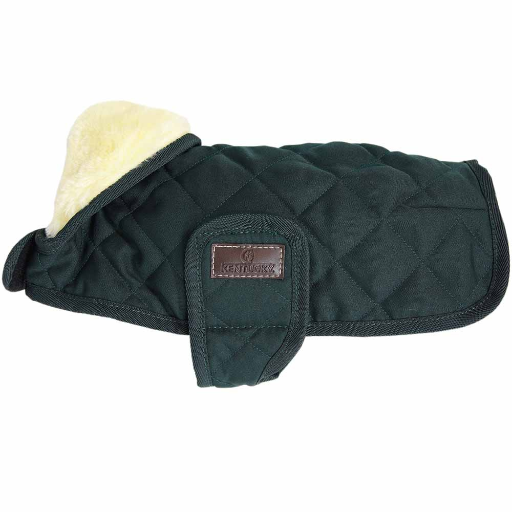 Couverture pour chien Original Vert 