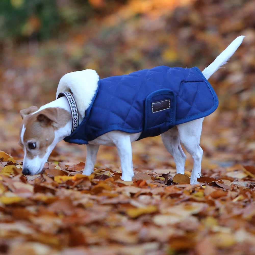 Couverture pour chien Original Bleu Marineee 