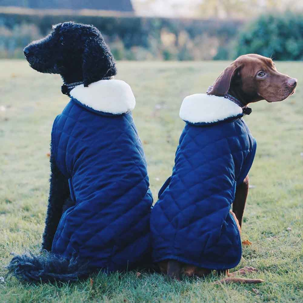 Couverture pour chien Original Bleu Marineee 
