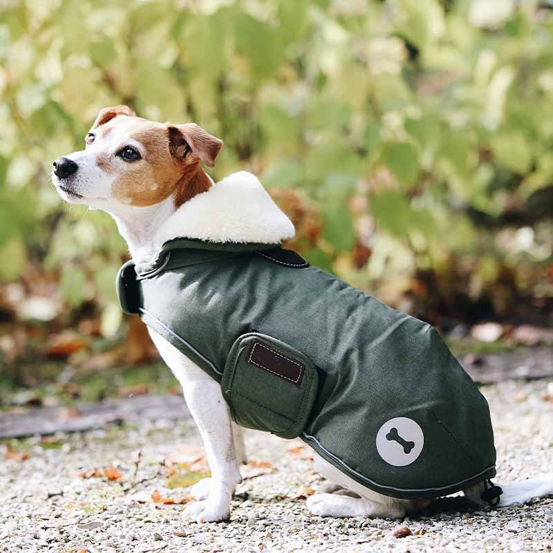 Couverture pour chien Waterproof 300g Vert olive 