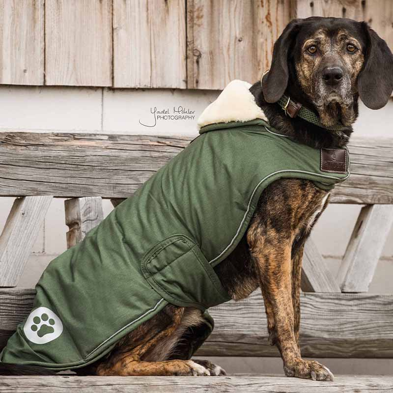 Couverture pour chien Waterproof 300g Vert olive 